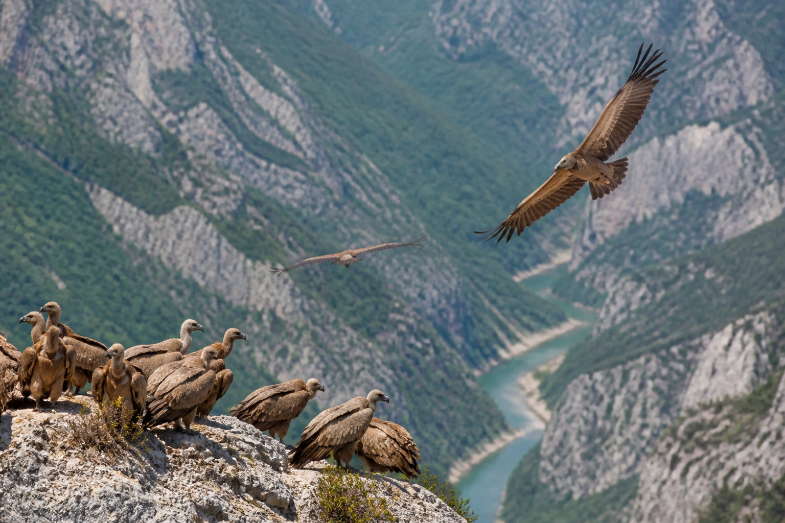 Pourquoi l'histoire et la nature du canyon enrichissent votre parcours