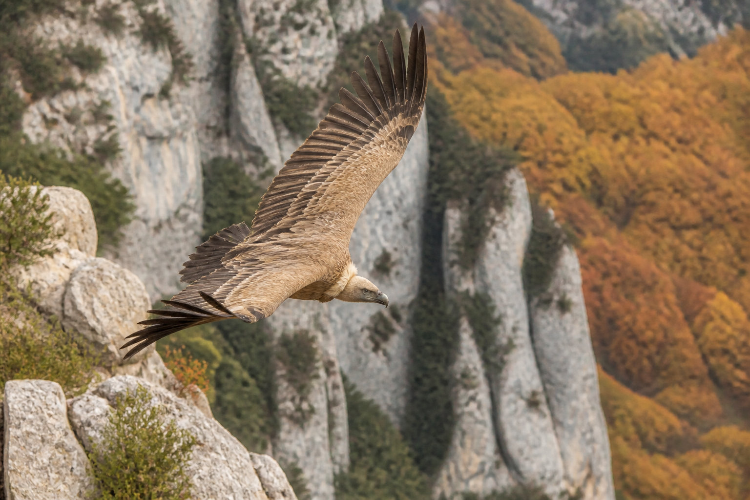 L'automne ou la saison des lumières et du calme retrouvé