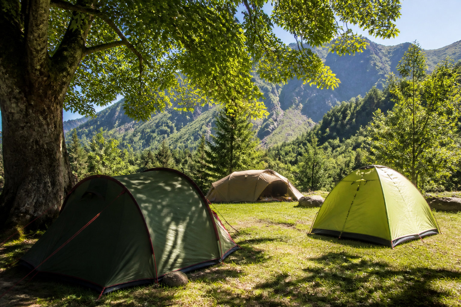 Le Camping Municipal : la solution minimaliste et ombragée
